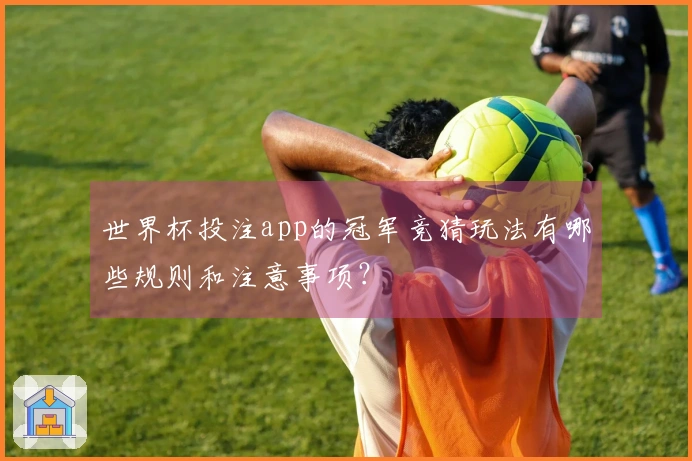 世界杯投注app的冠军竞猜玩法有哪些规则和注意事项？