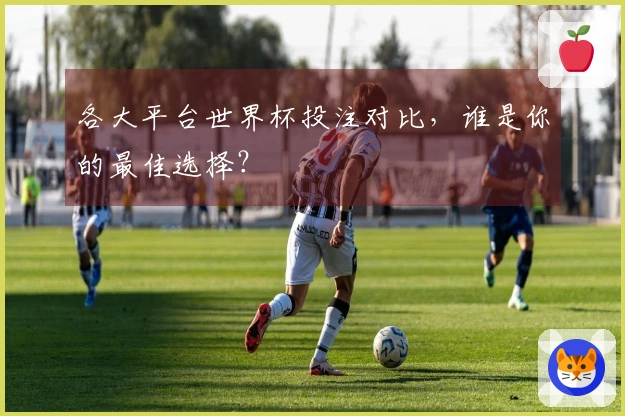 各大平台世界杯投注对比，谁是你的最佳选择？