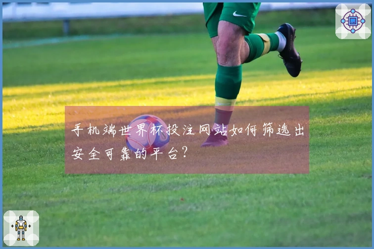 手机端世界杯投注网站如何筛选出安全可靠的平台？