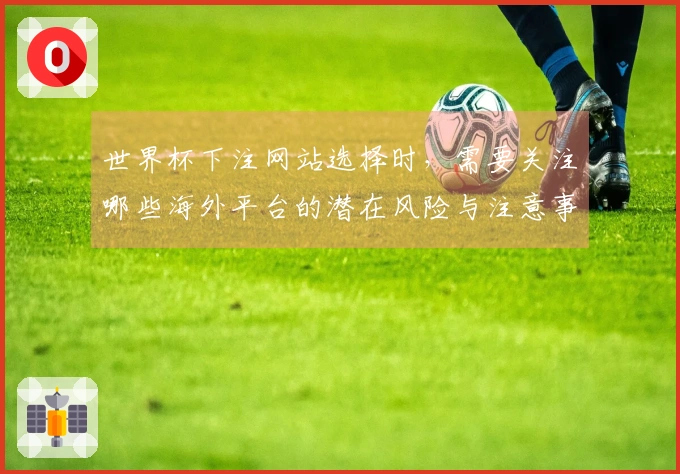 世界杯下注网站选择时，需要关注哪些海外平台的潜在风险与注意事项