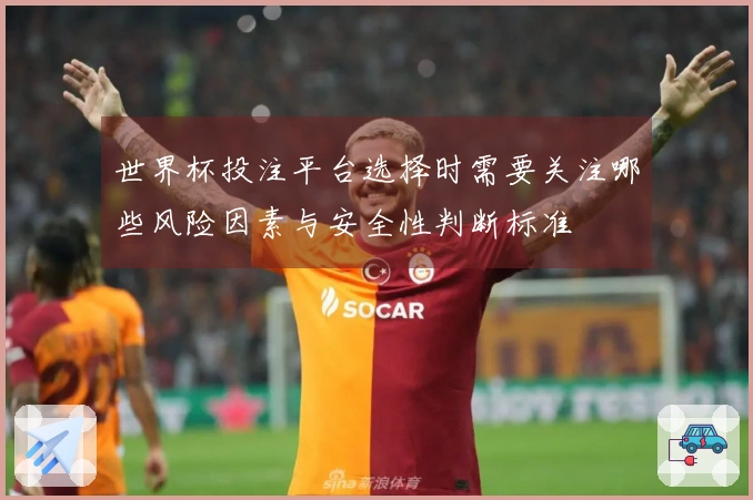 世界杯投注平台选择时需要关注哪些风险因素与安全性判断标准