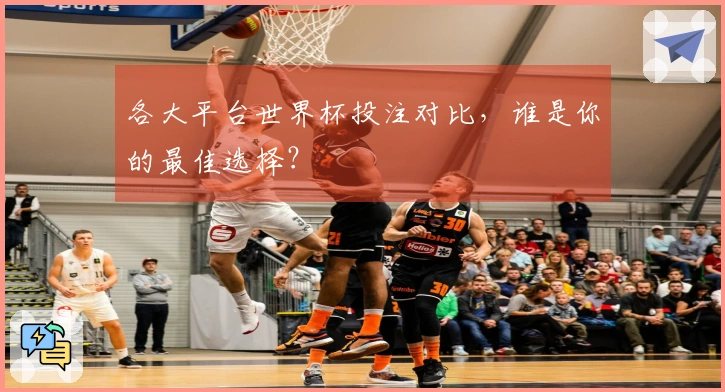 各大平台世界杯投注对比，谁是你的最佳选择？