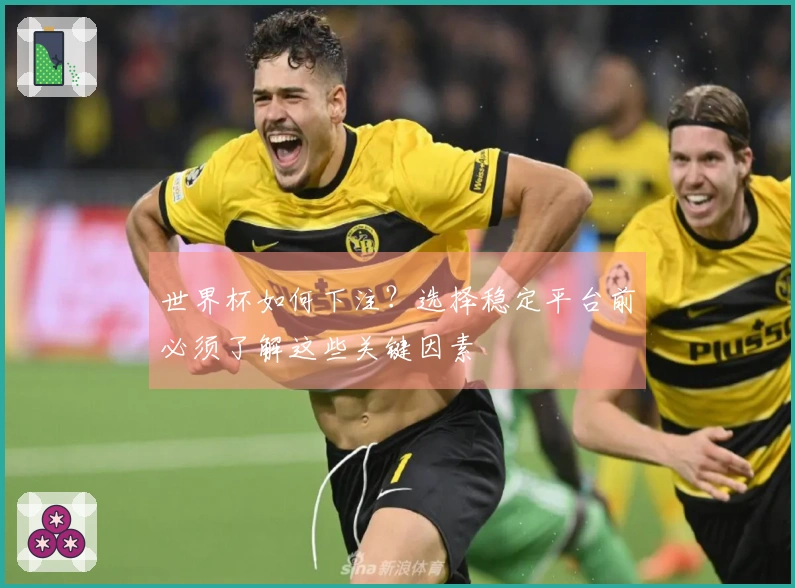 世界杯如何下注？选择稳定平台前必须了解这些关键因素